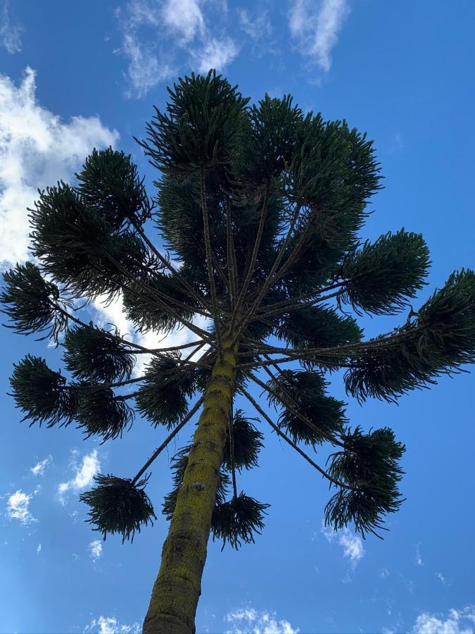 מלון Campos do Jordão Paz Na Montanha מראה חיצוני תמונה