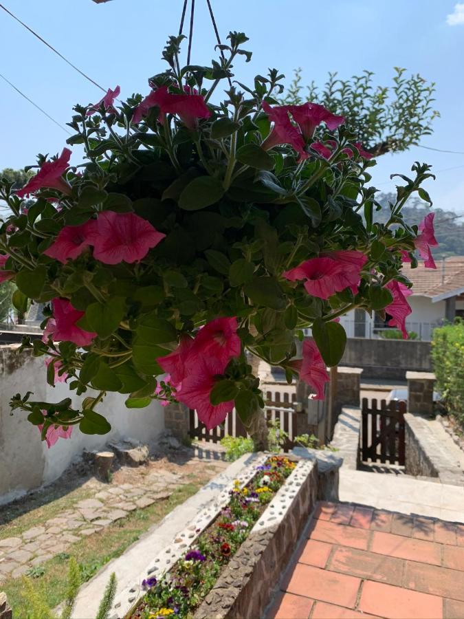 מלון Campos do Jordão Paz Na Montanha מראה חיצוני תמונה